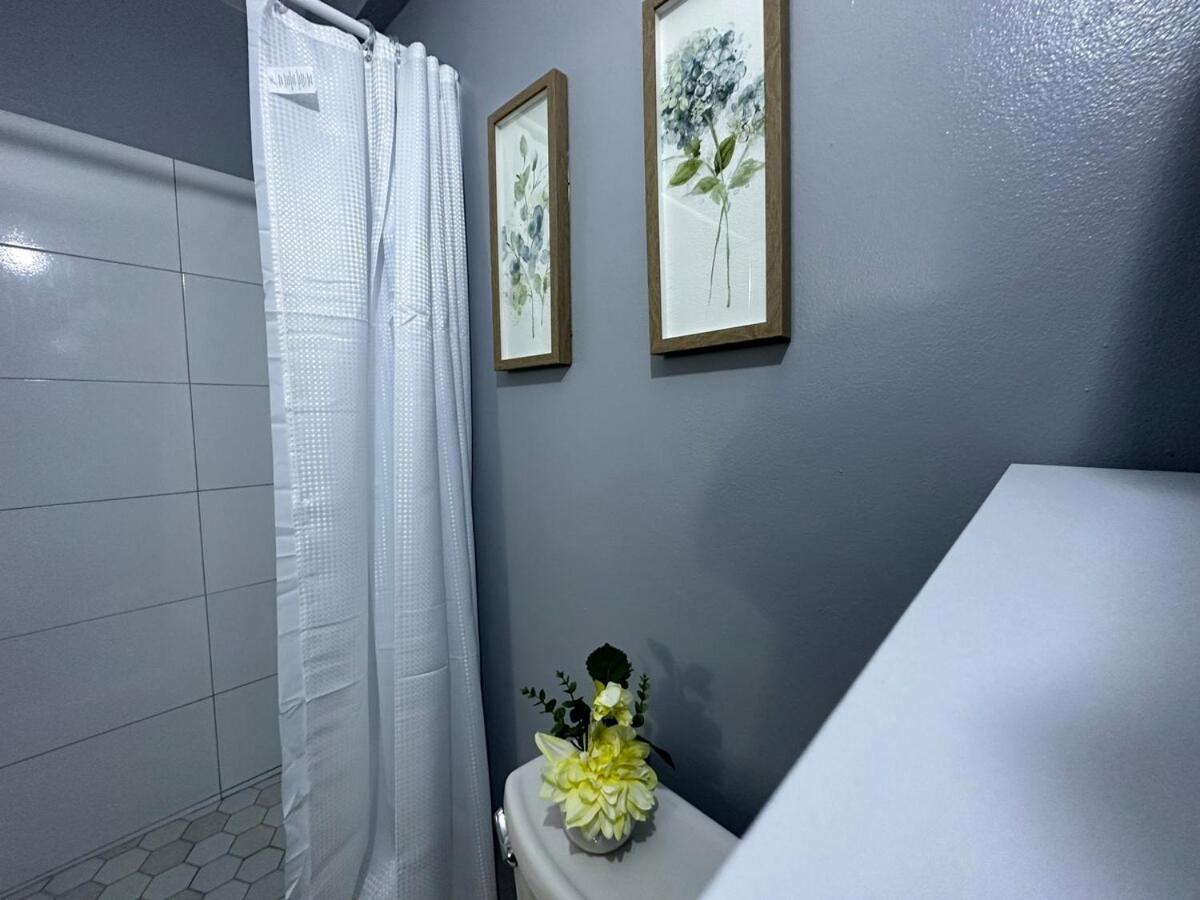 One Bedroom City Apartment Fully Ac With 24Hrs Security Kingston Exterior photo